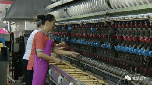 寨沙桑蚕业成为撬动乡村振兴的有力杠杆